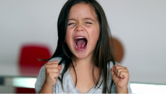 Guiding Young Children: Emotional Regulation & Social Skills